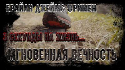 Фриман Брайан - Мгновенная вечность
