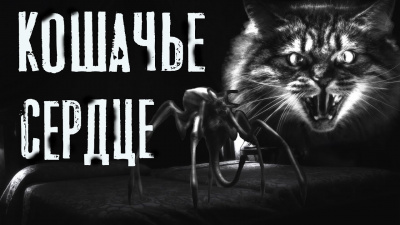 Темир Руслан - Кошачье сердце