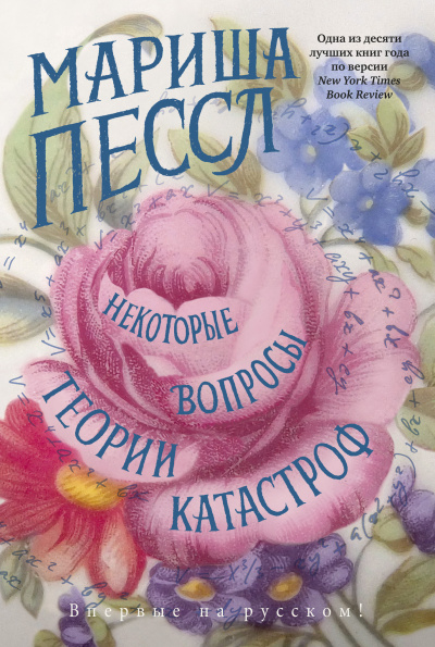 Пессл Мариша – Некоторые вопросы теории катастроф