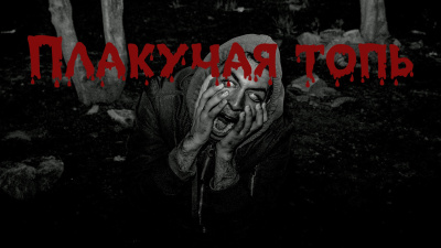 Собиратель тайн – Плакучая Топь