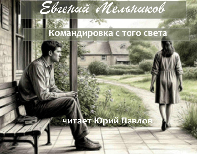 Мельников Евгений – Командировка с того света