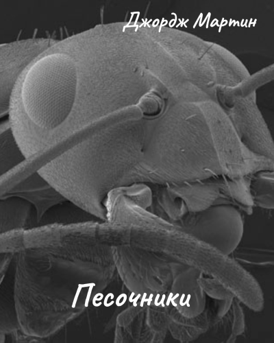Мартин Джордж – Песочники